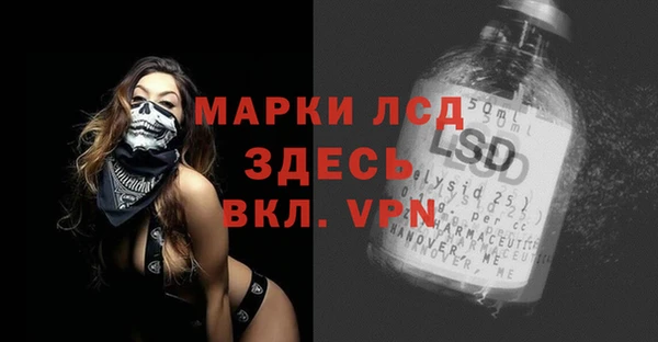 стаф Арсеньев