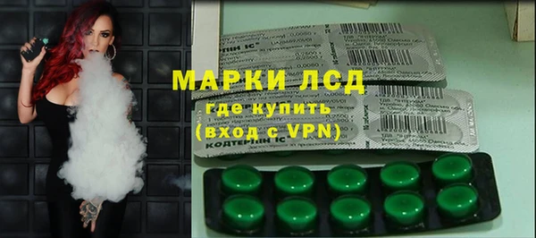 стаф Арсеньев